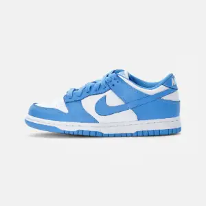 Nike Sb Dunk ''Blue''